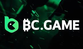 Everything You Need to Know About BC.Game Free Spin Codes